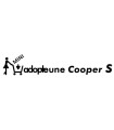 ADOPTE UNE COOPER S