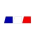 Stickers  DRAPEAU CALANDRE CLIO 2RS