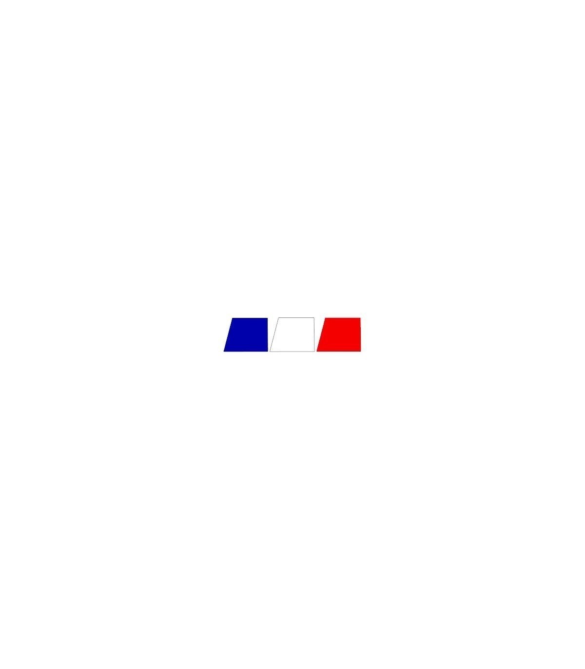 Stickers  DRAPEAU CALANDRE CLIO 2RS