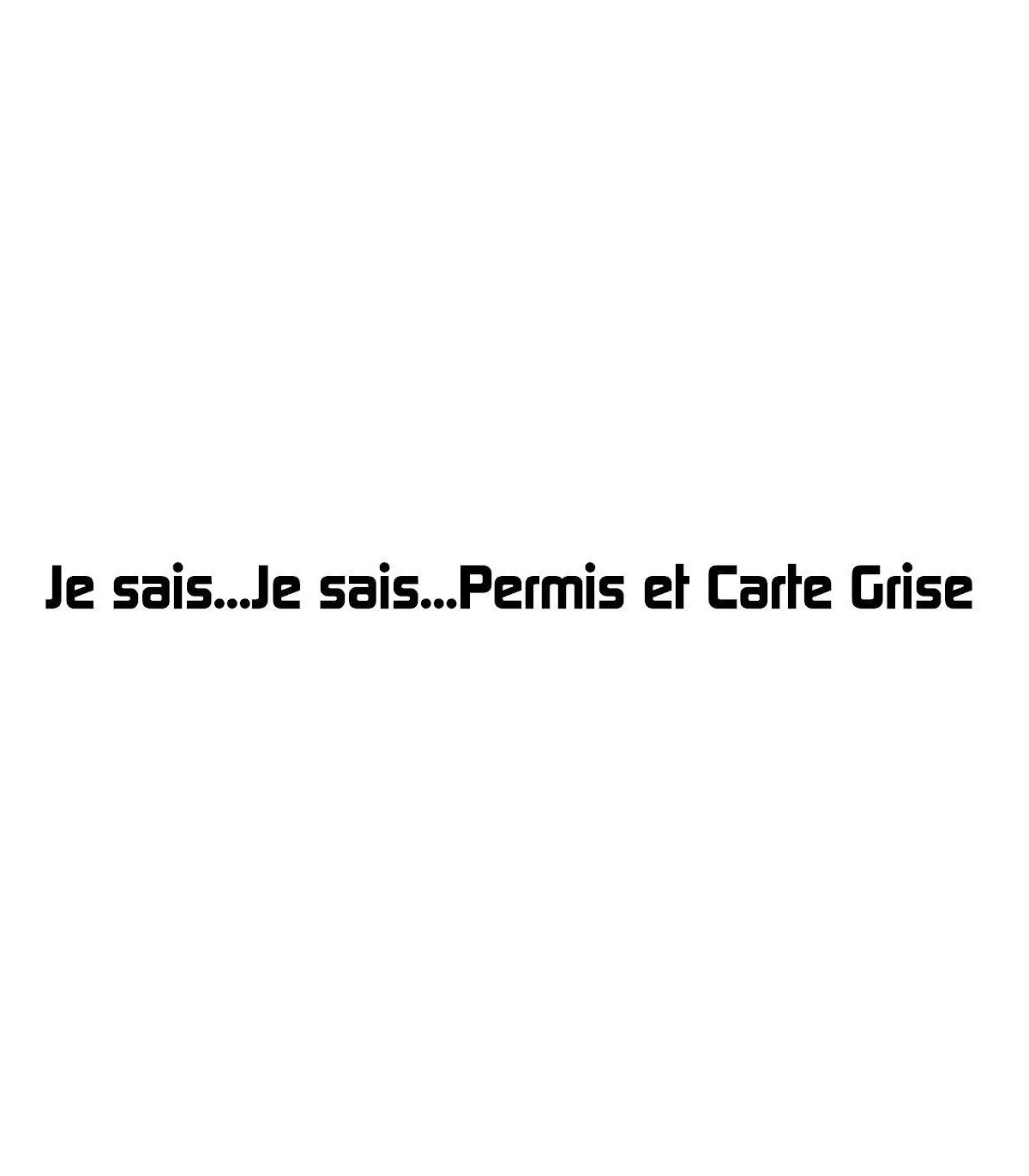Stickers Permis & Carte Grise