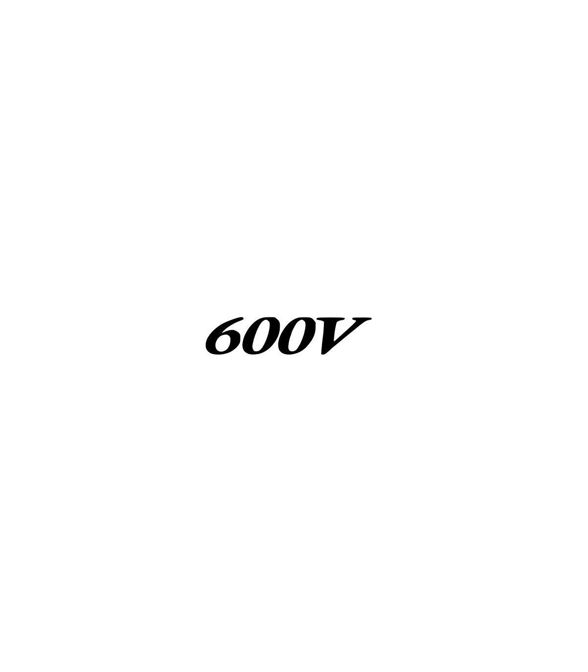 Stickers HONDA 600V