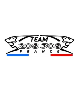 Stickers Team 208/308 France