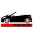 Stickers  TEAM 207 CC IDF