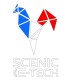 Stickers Scenic E-tech Tricolor