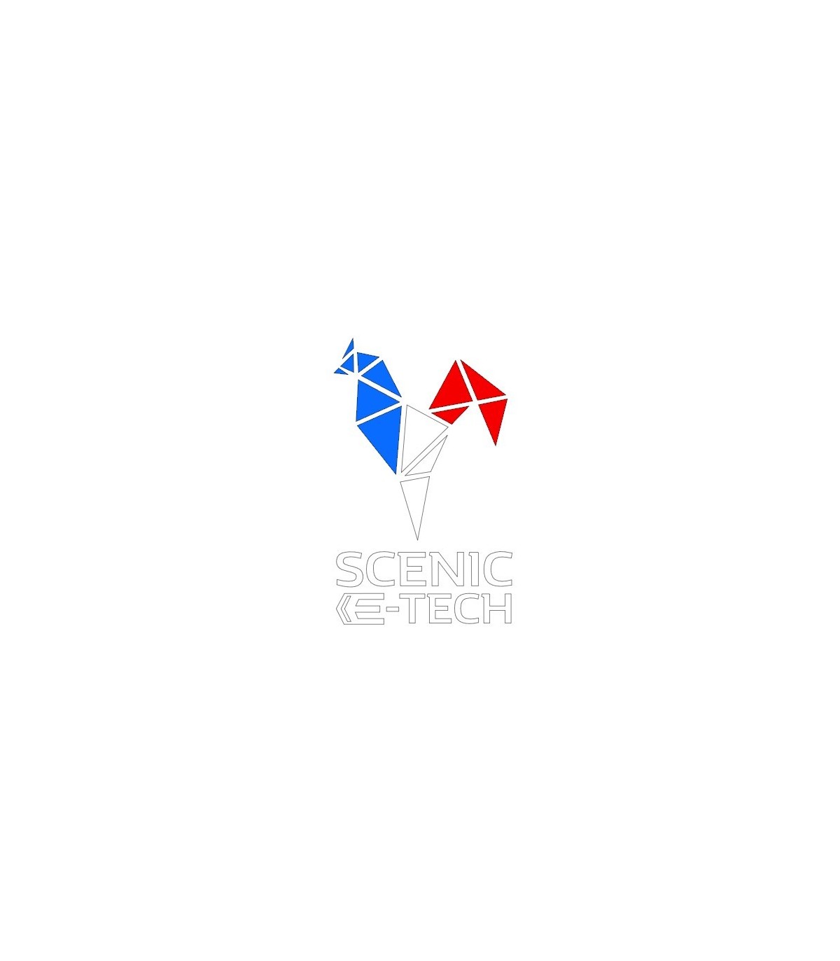 Stickers Scenic E-tech Tricolor