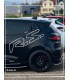 Paire de Stickers Latéral Rs version XL (contour)
