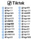 Stickers Tiktok HOLOGRAPHIQUE