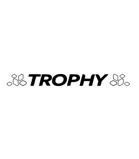 Stickers TROPHY + DAMIERS Pour lame de CLIO 4RS