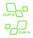 Paire de Stickers CUP-S de portes Megane