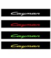 BANDEAU PARE SOLEIL PORSCHE CAYMAN