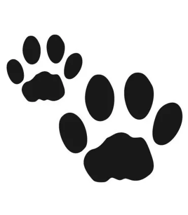 Stickers EMPREINTES DE CHIEN X2