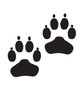 Stickers EMPREINTES DE CHIEN X2