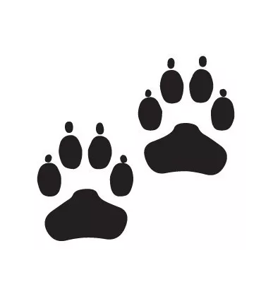 Stickers EMPREINTES DE CHIEN X2