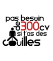 Stickers 300CV