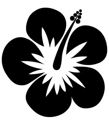 Stickers FLEUR HIBISCUS 4