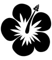 Stickers FLEUR HIBISCUS 4