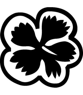 Stickers FLEUR HIBISCUS 6