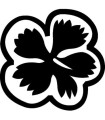 Stickers FLEUR HIBISCUS 6