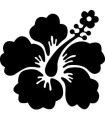 Stickers FLEUR HIBISCUS 20