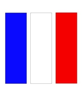 Stickers DRAPEAU FRANÇAIS 5 X 5cm