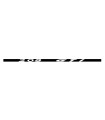 Stickers CACHE FEUX STOP PEUGEOT 208 GTI